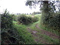 Heol las ger Penycoed / A green lane near Penycoed