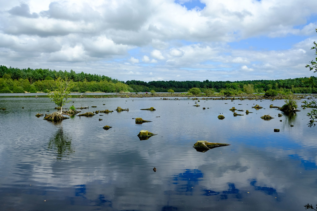 Blakemere Moss, Delamere Forest © Jeff Buck :: Geograph Britain And Ireland