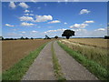 Roadway to Victoria Farm