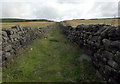 Path leading up onto the moor