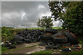 A pile of old tyres at North Down farm