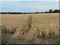 Public footpath to the Lodge at Haverholme