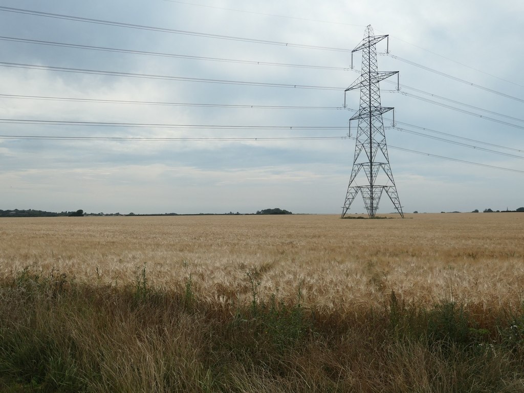 Pylon In A Barley Field © Christine Johnstone Geograph Britain And