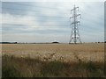 Pylon in a barley field