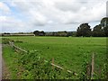 Fields at Church Farm