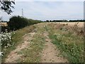 Farm track on the edge of a barley field