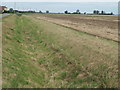 Drain on the south side of Littleworth Drove [2]