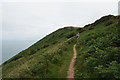 South West Coast Path above The Rawn