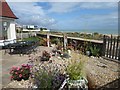 Stony garden at Pevensey Bay