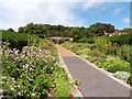 Herbaceous borders at Barley Wood Walled Garden