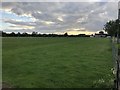 Sheep field by Oxhouse Farm