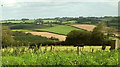 Farmland near Foales Leigh