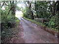 Pont ger Gwyndy / Bridge near Gwyndy