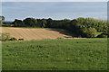 SU5817 : Fields above Mayhill Lane by David Martin