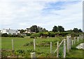 Riverside houses at Malltraeth