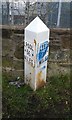 Leeds and Liverpool Canal Milestone