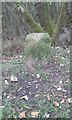 Leeds and Liverpool Canal Milestone