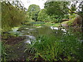 Pond at the Manor House, Hunston, West Sussex (2)