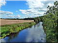 Over the River Irvine