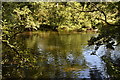 River Avon at East Chisenbury