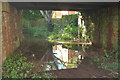 Puddle beneath railway bridge, Livermead