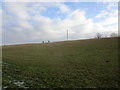 Pole in a field