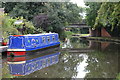 Jupiter on the Grand Union Canal