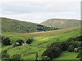 Across the valley to Sprintgill