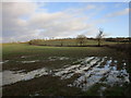 Waterlogged field by the lane to Preston Capes