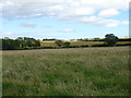Grassland near Clayhills