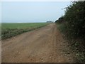 TF7642 : Norfolk Coast path & Peddars Way, west of Chalkpit Lane by Christine Johnstone