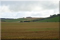 Stubble field near Grenwards