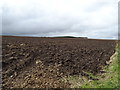 Field near Ardallie Croft