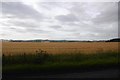 Arable land, Lochend of Barra