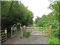 ST4256 : Strawberry Line path near Winscombe by Malc McDonald