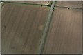 Cropmarks on fields east of A153 north of Sleaford: aerial August 2020 (3)