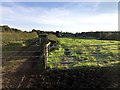 Track and Field NE of Mount Farm