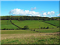 Farmland near Clevance