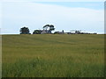 Cereal crop towards Ward