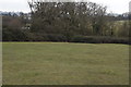 Coastal path across a field