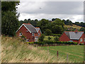 Houses near Cyfronydd station