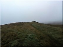 NN9401 : Summit of Tarmangie Hill by Iain Russell