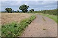 SO7627 : Farmland track by Philip Halling