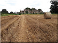 Approaching Beaufort House, Willesley