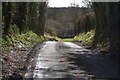 SU7330 : Lane to Hawkley by N Chadwick