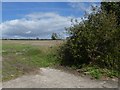 Farming landscape west of Charminster