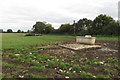 Cattle Field by Manor Farm