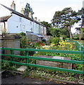 Mid 19th century gravestone, Old Chapel Garden, Stonehouse