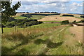 Grassy track on Knighton Hill