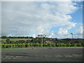 Service Road at Waitrose Truro